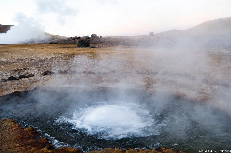 20160331_073447 D3S.jpg - Yellowstone is the largest geyser field in the world.  This is the 3rd largest geyser field but the highest!